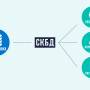 dbms-image-1.jpg