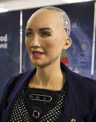sophia_at_the_ai_for_good_global_summit_2018_27254369347_cropped_.jpg